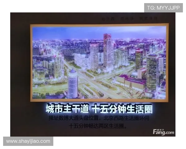 壹号官网：全面了解壹号品牌的官方平台与最新动态