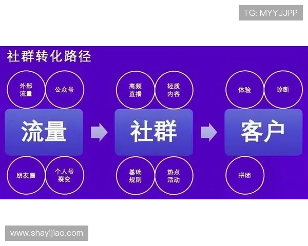 壹号平台官方链接获取途径及常见问题解答