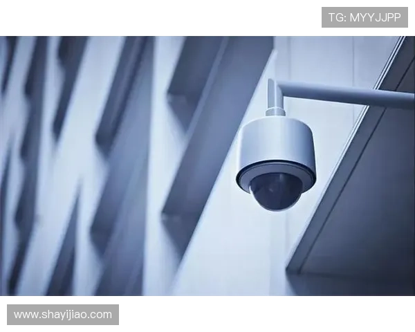 壹号平台苹果应用下载安装最新版本推荐与安全保障